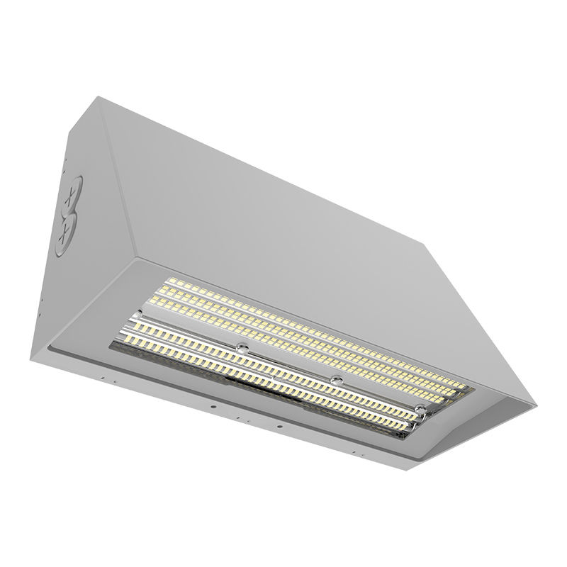 WPMAX-60-100W-MCTP-SIL RESIZED 2.jpg